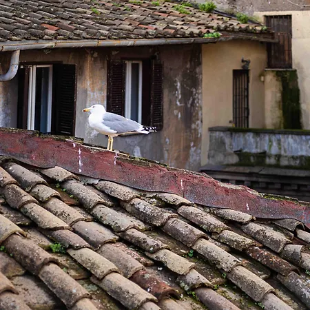 Casa De' Fiori-3